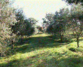 Langdale Farm - Accommodation Yamba