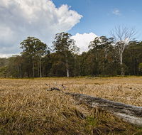 Mummel Gulf National Park - Accommodation Yamba