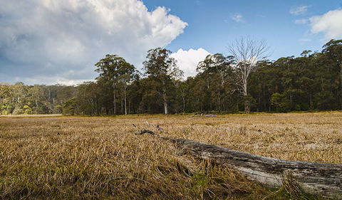 Mummel Gulf National Park - Accommodation Yamba 0