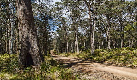 Mummel Gulf National Park - Accommodation Yamba 2