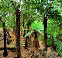 Pegarah Private Nature Reserve  Parenna Place - Accommodation Yamba