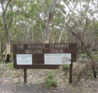 Box Vale Picnic Area - Accommodation Yamba