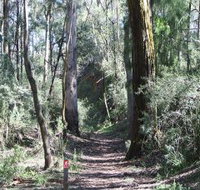 Box Vale Mine Walking Track and Lookout - Accommodation Yamba