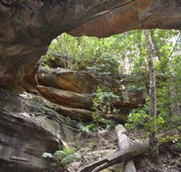 Cave Creek Walking Track - Accommodation Yamba