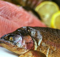 Lovedale Smokehouse Gourmet Pantry Cafe and Masterclasses - Accommodation Yamba