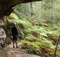 Dharug National Park - Accommodation Yamba
