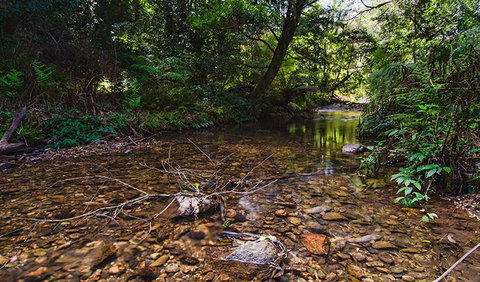 Myrtle Scrub Scenic Drive - Accommodation Yamba 2