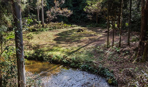 Myrtle Scrub Scenic Drive - Accommodation Yamba 3