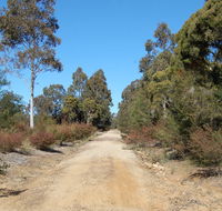 Werakata National Park - Accommodation Yamba