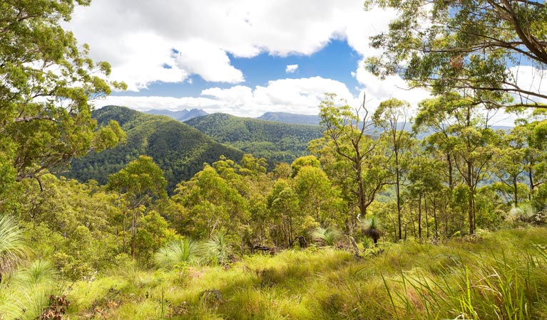 Roseberry Creek ACT Accommodation Yamba