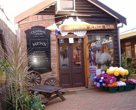 Australian Alpaca Barn - Morpeth - Accommodation Yamba 0