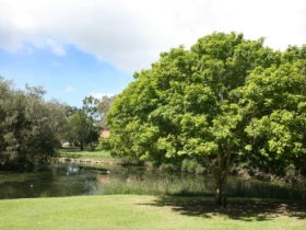Hervey Bay Botanic Gardens - Accommodation Yamba 0