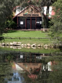 Hervey Bay Botanic Gardens - Accommodation Yamba 1