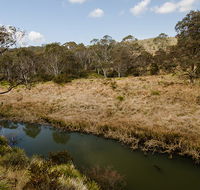 Werrikimbe National Park - Accommodation Yamba