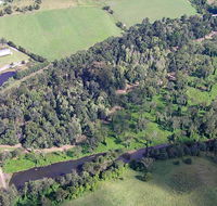 Moore Park Nature Reserve - Accommodation Yamba