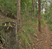 Border loop walk - Accommodation Yamba