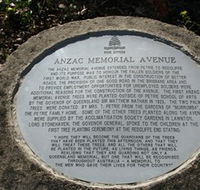 Anzac Memorial Avenue Redcliffe - Accommodation Yamba