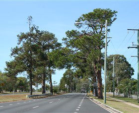 Anzac Memorial Avenue, Redcliffe - Accommodation Yamba 2