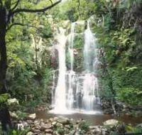 Budderoo National Park - The Falls Walk - Accommodation Yamba
