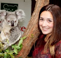 Blackbutt Reserve - Accommodation Yamba