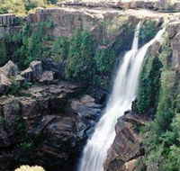 Minnamurra Rainforest Centre Budderoo National Park - Accommodation Yamba