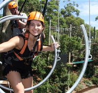 Wild Ropes at Taronga Zoo - Accommodation Yamba