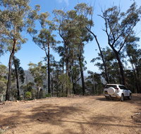 Wadbilliga Road drive - Accommodation Yamba