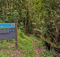 Red Cedar loop - Accommodation Yamba