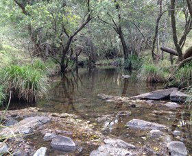 Homeleigh NSW Accommodation Yamba