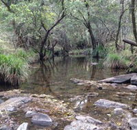 Homeleigh - Accommodation Yamba