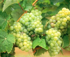 Marlee NSW Accommodation Yamba