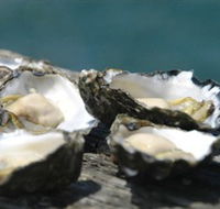 Jim Wilds Oyster Service - Accommodation Yamba
