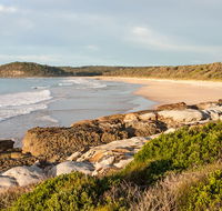 Burrawang track - Conjola Beach to Buckleys Point - Accommodation Yamba
