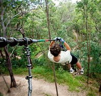 TreeTop Challenge - Accommodation Yamba