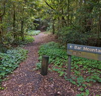 Bar Mountain circuit - Accommodation Yamba