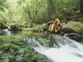 Lower Ballanjui Falls - Accommodation Yamba 0