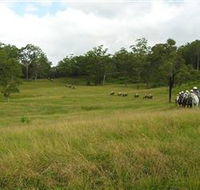 Numinbah Valley Adventure Trails - Accommodation Yamba