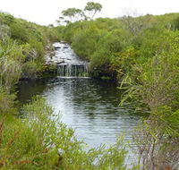 Booderee National Park Green Patch and Telegraph Creek Walking Tracks - Accommodation Yamba