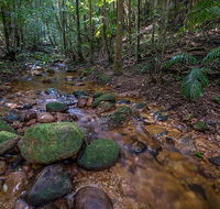 Starrs Creek picnic area - Accommodation Yamba