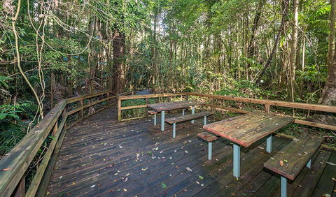 Starrs Creek Picnic Area - Accommodation Yamba 1
