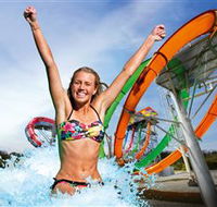 Wet'n'Wild Gold Coast - Accommodation Yamba