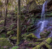 Coorabakh National Park - Accommodation Yamba