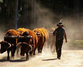 Timbertown Heritage Theme Park - Accommodation Yamba 1