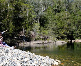 Mount Boss State Forest - Accommodation Yamba 0