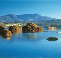 Wagonga Picnic Area - Accommodation Yamba