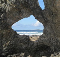 Glasshouse Rocks and Pillow Lava - Accommodation Yamba