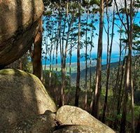 Mount Gulaga Mount Dromedary Walk - Accommodation Yamba