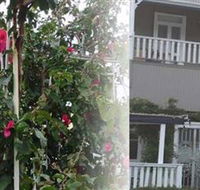House of Gabriel - Accommodation Yamba