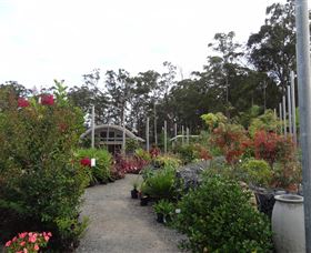 Abundance Lifestyle And Garden - Accommodation Yamba 6
