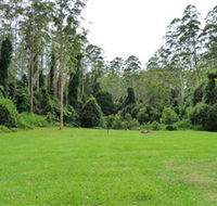 Kerewong State Forest - Accommodation Yamba